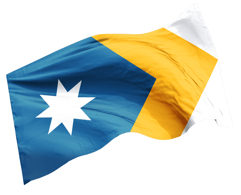 The Unity Flag